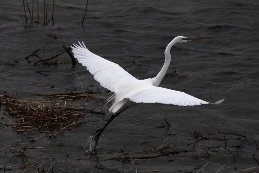 2013 04 16 IMG 03273e
